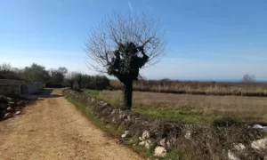 ulaz u selo Rakovci ulaz u selo