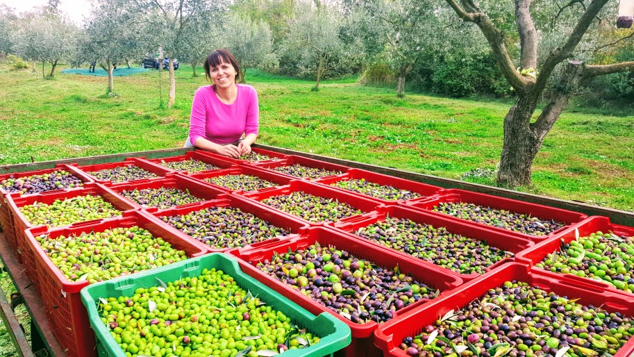 Vedrana Rakovac, vlasnica OPG Rakovac masline
