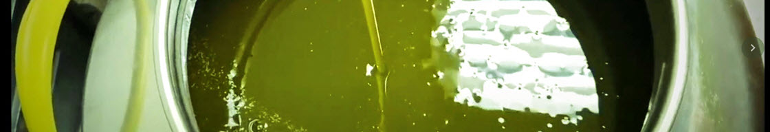 10 FATTI SULL'OLIO D'OLIVA
